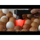 Овоскоп СЯЙВО ОВ — 3 (на батарейках) для візуальної перевірки яєць.